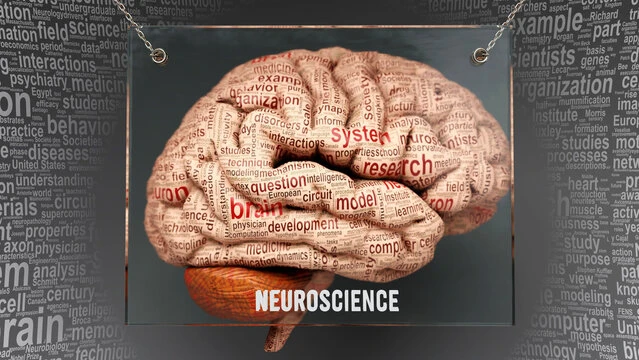 Neurociência cognitiva